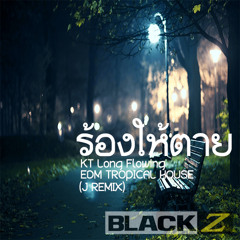 EDM TROPICAL HOUSE (KT Long Flowing - ร้องให้ตาย) 100 BPM J REMIX