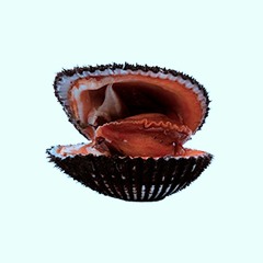 mdol - Mula / Rework