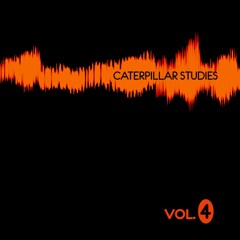 Caterpillar Studies Vol.4