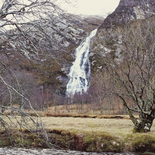 So Will I & What A Beautiful Name Medley by Danae Chiong