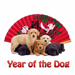 Year Of The Dog