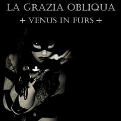 Venus In Furs