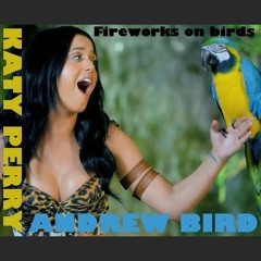KATY PERRY VS ANDREW BIRD - Fireworks On Birds