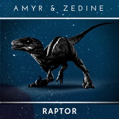 Amyr & Zedine - Raptor (Original Mix)