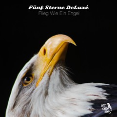 5 Sterne Deluxe - Flieg Wie Ein Engel (Pet Chop Boys Remix)