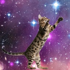 06. Superinvaders - Neko na nemuri no uta