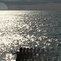 Daira Selecta #175 - Kraumur