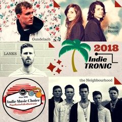 📢●Indietronic! ⚡️2018 🔞