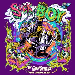 The Chainsmokers - Sickboy (Tony Junior Remix)