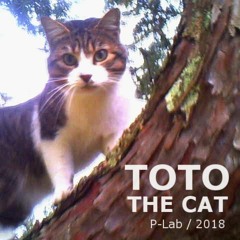 TOTO THE CAT [ P-Lab / 2018 ]