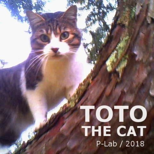 TOTO THE CAT [ P-Lab / 2018 ]