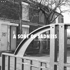A SORT OF SADNESS