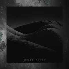 weißt genau [SPOTIFY LINK IN BIO]