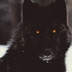 F.B.G. (prod. Heebz)