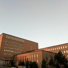 The Realm Of Meta Statistics