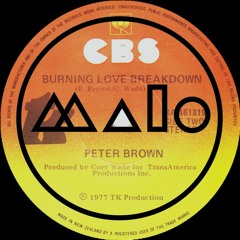 Peter Brown - Burning Love Breakdown (Tomas Malo Edit) **FREE D/L**
