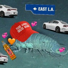 Camaro Cowboy [Ear Rape/Bass Boosted]