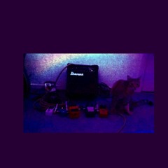 squidhead (laptop/phone mic demo)