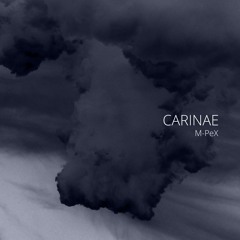 Luarne Raneficte (feat André Coelho)