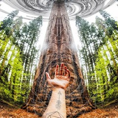 thatGrassyBlueyfeely