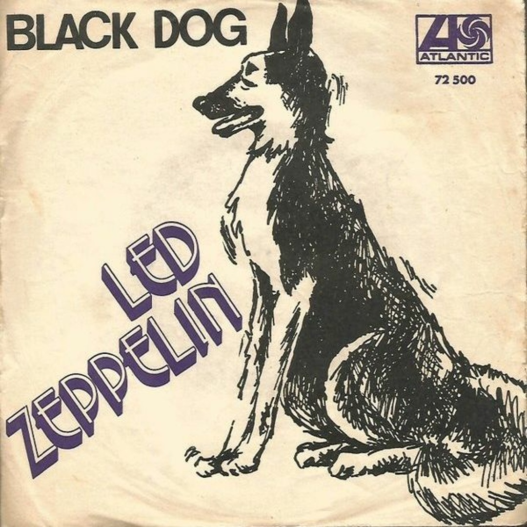 Лед зеппелин блэк дог. Led zeppelin black dog. Black dog led zeppelin текст. Black dog обложка. Led zeppelin black dog текст.