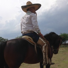 Banda La Imponente Reyna De Guanajuato - El Guateque