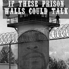 if the walls could talk inacell913