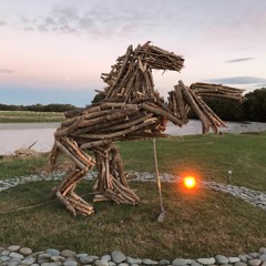 ZEBEDE's Burning Horse JUNGLIST Set 0300, 18Feb2018.