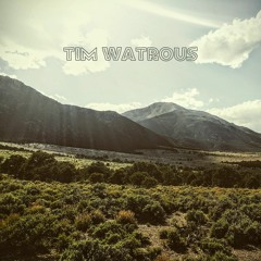 Tim Watrous "juniper and windy rain at night" FEB-17-2018-A (guitar) можжевельник