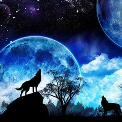 Wolves - Salena Gomez - Marshmello (CAMMEOCAM REMIX)
