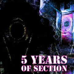 Section - The Plan EP minimix