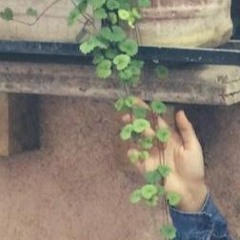 دنگ شو- مرا ببوس