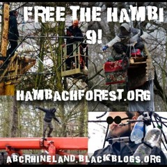 Free The Hambach 4
