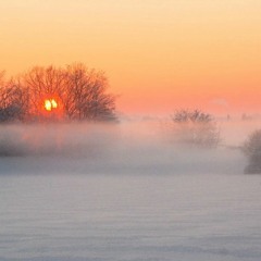 Winter Mist