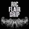Metro Boomin Offset Ric Flair Drip Remake Mp3