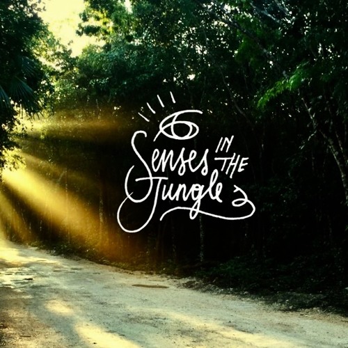 ((cosmolog)) @ Project Heart - six senses in the jungle 2018 - Tulum (Mexico)