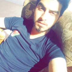 🎵 شيلة حنا جنووود المملگة