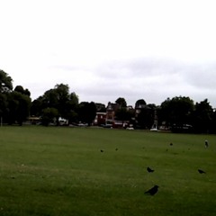 Autumn Leaves (acoustic)