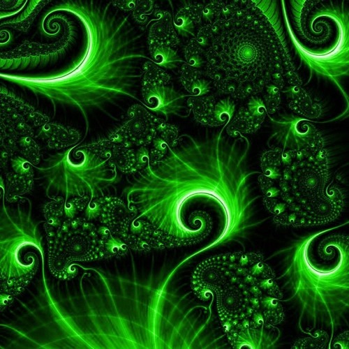 Timeless // tribecore