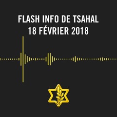 Flash Info De Tsahal - 18 Février 2018
