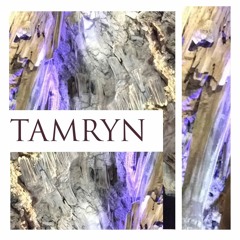 tamryn (prod. zebrahaus) *snippet*