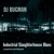 Artwork for Industrial Slaughterhouse Blues