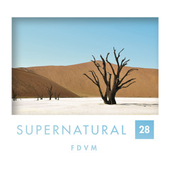 Supernatural 28 by FDVM