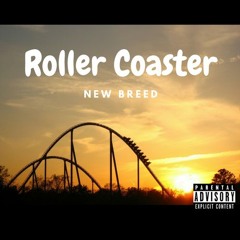 Roller Coaster (Freestyle)