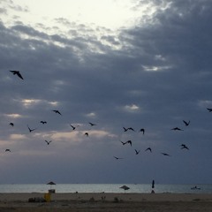 norah jones-happy pills cover