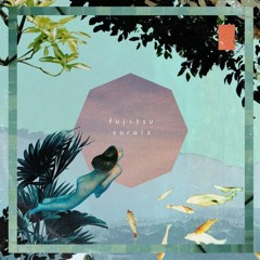 Fujitsu - Reefs