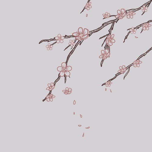 plans