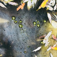 Breathing God - 2 18 18, 12.34 PM