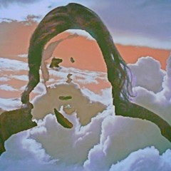 BOMBER - Le Promeneur d'Oiseau