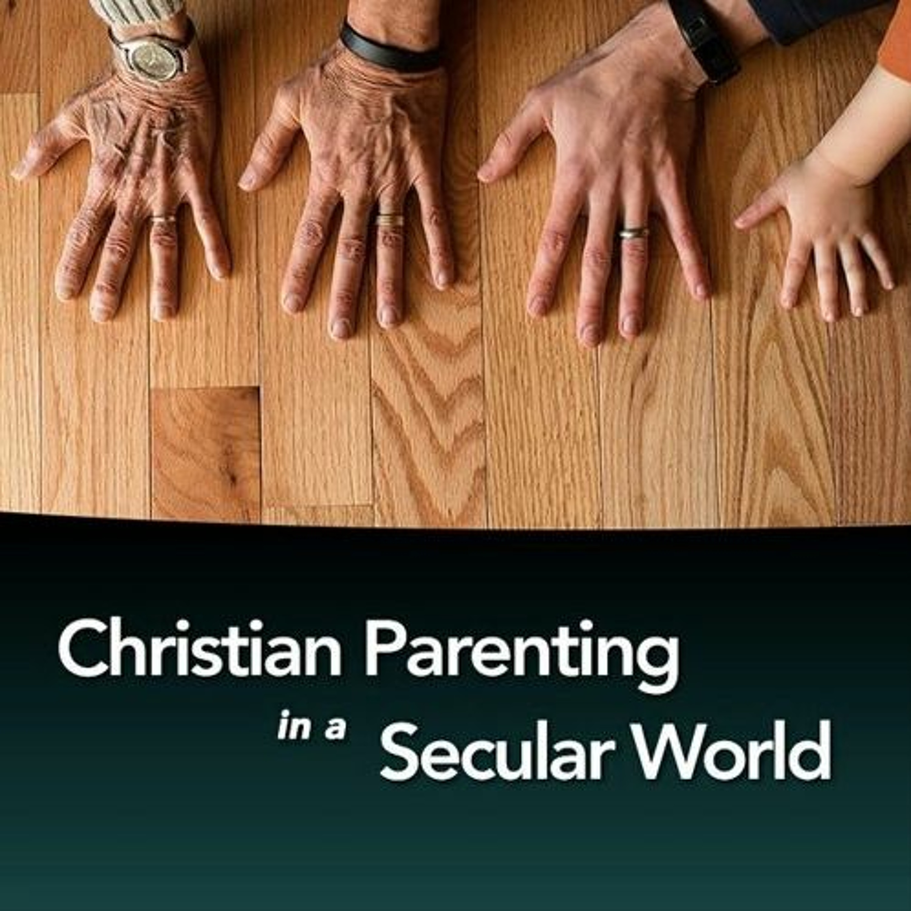 The Priority of God's Grace in Parenting (Psalm 103 - 2/18/18 - Chris Schuett) episode artwork